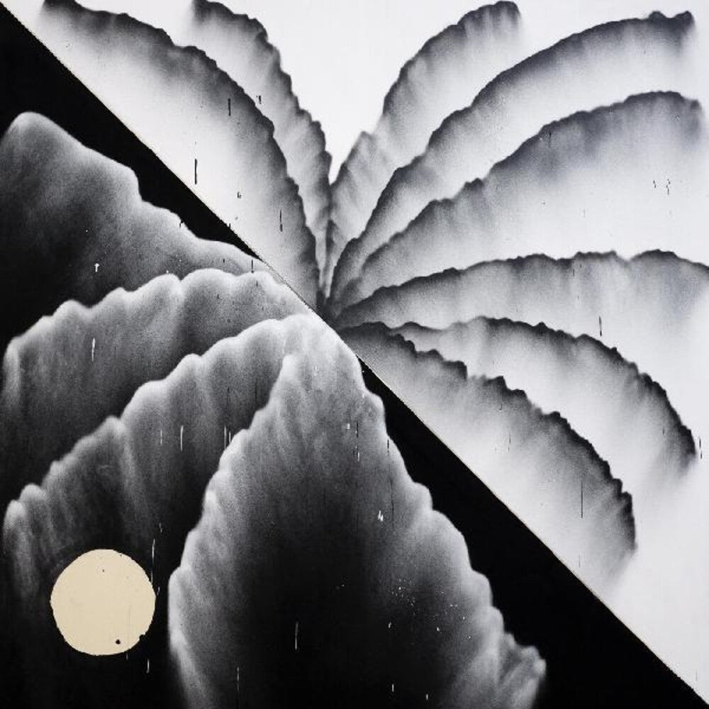 the album cover for Shlohmo - Heaven Inc.