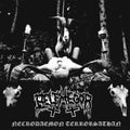 the album cover for Belphegor - Necrodaemon Terrorsathan