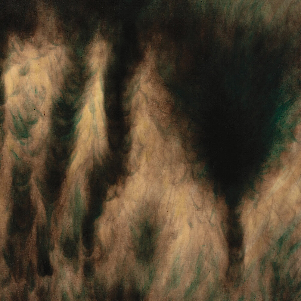 the album cover for William Basinski - Lamentations