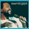 the album cover for Marvin Gaye - Concert Anthology [Remastered]
