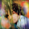 the album cover for Sam Amidon - Sam Amidon