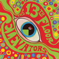 the album cover for The 13th Floor Elevators - The Psychedelic Sounds Of The 13th Floor Elevators [2CD]
