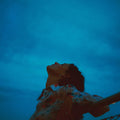 the album cover for Leon - Apart [LP]