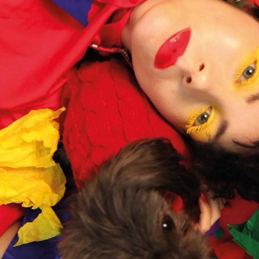 the album cover for Ultraista - Ordinary Boy - The Remixes
