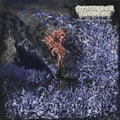the album cover for Of Feather & Bone - Sulfuric Disintegration