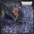 the album cover for Of Feather & Bone - Sulfuric Disintegration