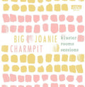 the album cover for Big Joanie And Charmpit - Kluster Rooms Sessions [Clear Vinyl] [Download Included]