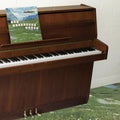 the album cover for Grandaddy - The Sophtware Slump.....On A Wooden Piano [LP]