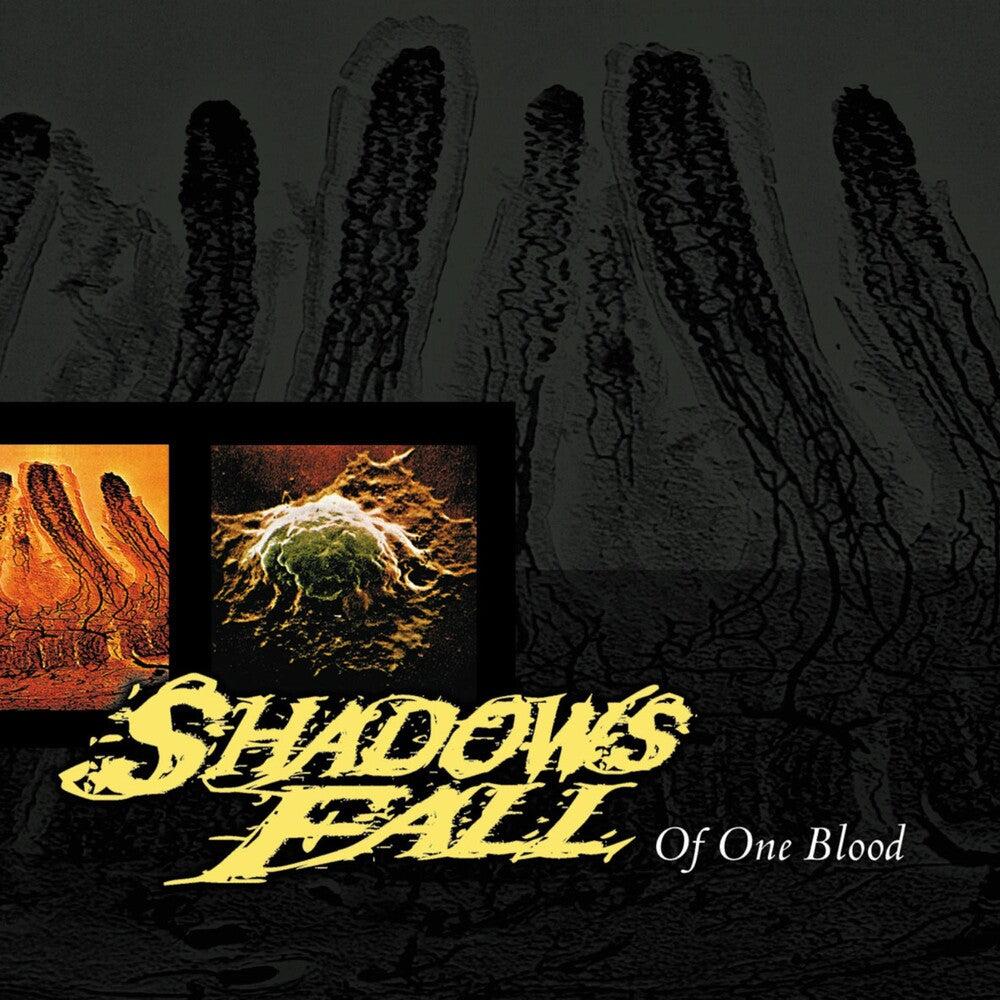 the album cover for Shadows Fall - Of One Blood [RSD BF 2020]
