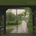 the album cover for Cloud Nothings - The Shadow I Remember [LP]