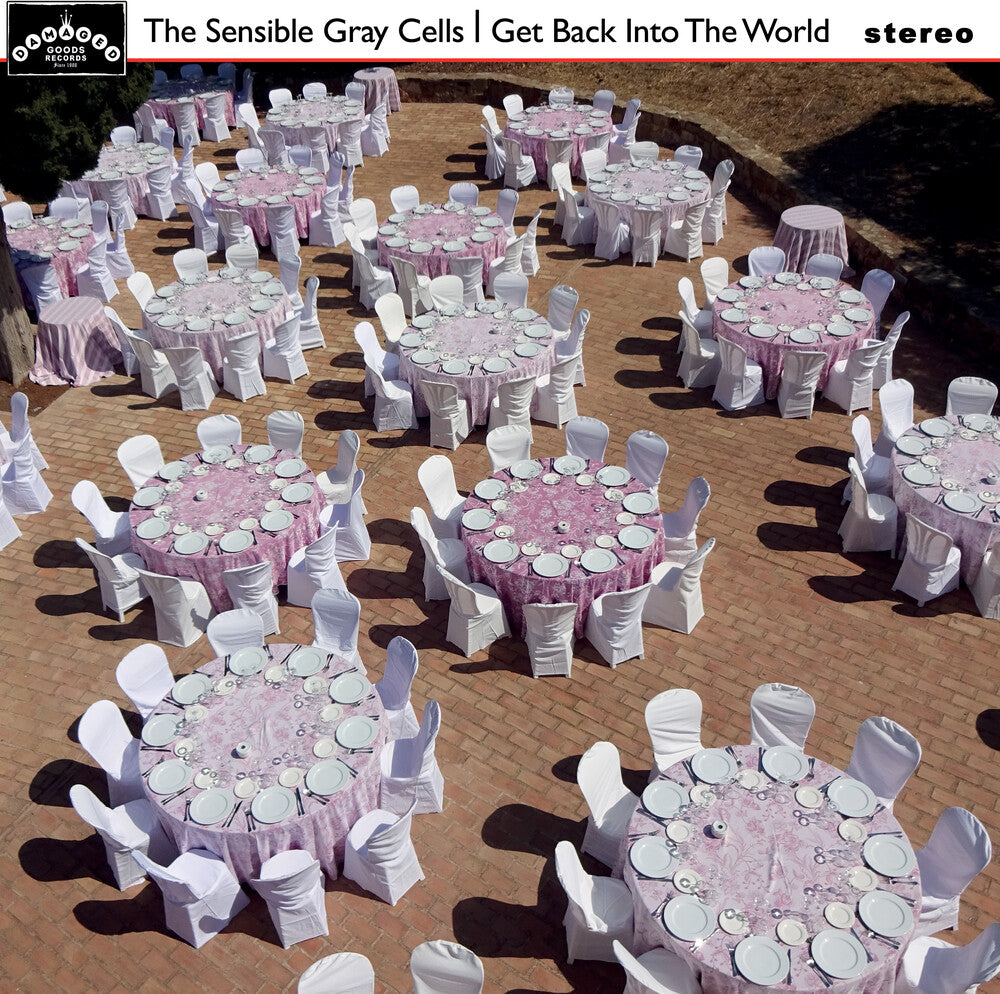 the album cover for Sensible Gray Cells - Get Back Into The World