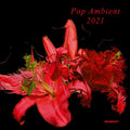 the album cover for Pop Ambient 2021 / Various - Pop Ambient 2021 (Various Artists)