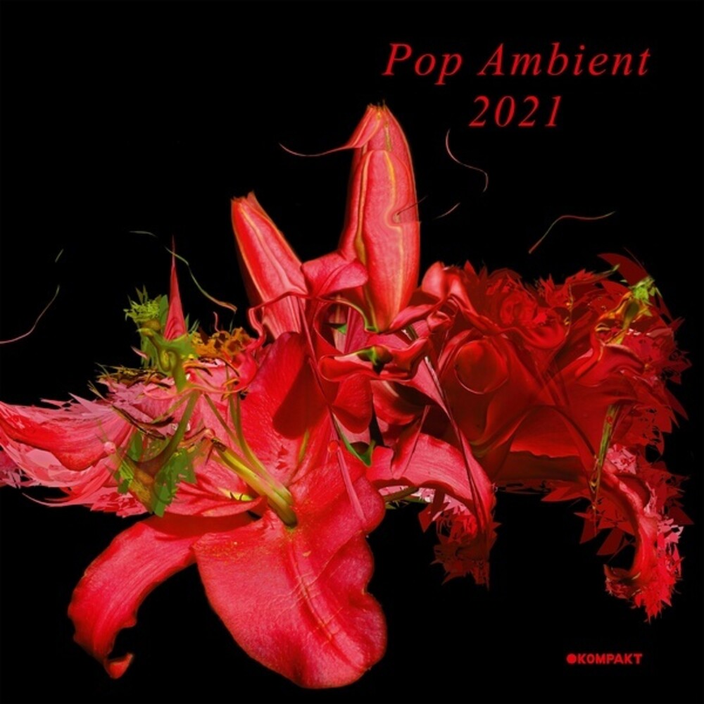 the album cover for Pop Ambient 2021 / Various - Pop Ambient 2021 (Various Artists)
