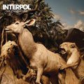 the album cover for Interpol - Our Love To Admire [Blue LP]