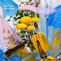 the album cover for Octo Octa / Eris Drew - Fabric Presents Octo Octa & Eris Drew [Download Included]