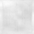 the album cover for These New Puritans - Hidden (mmxx) [LP]