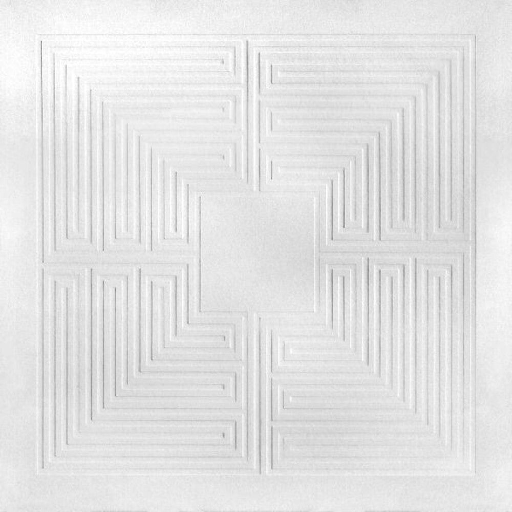 the album cover for These New Puritans - Hidden (mmxx) [LP]
