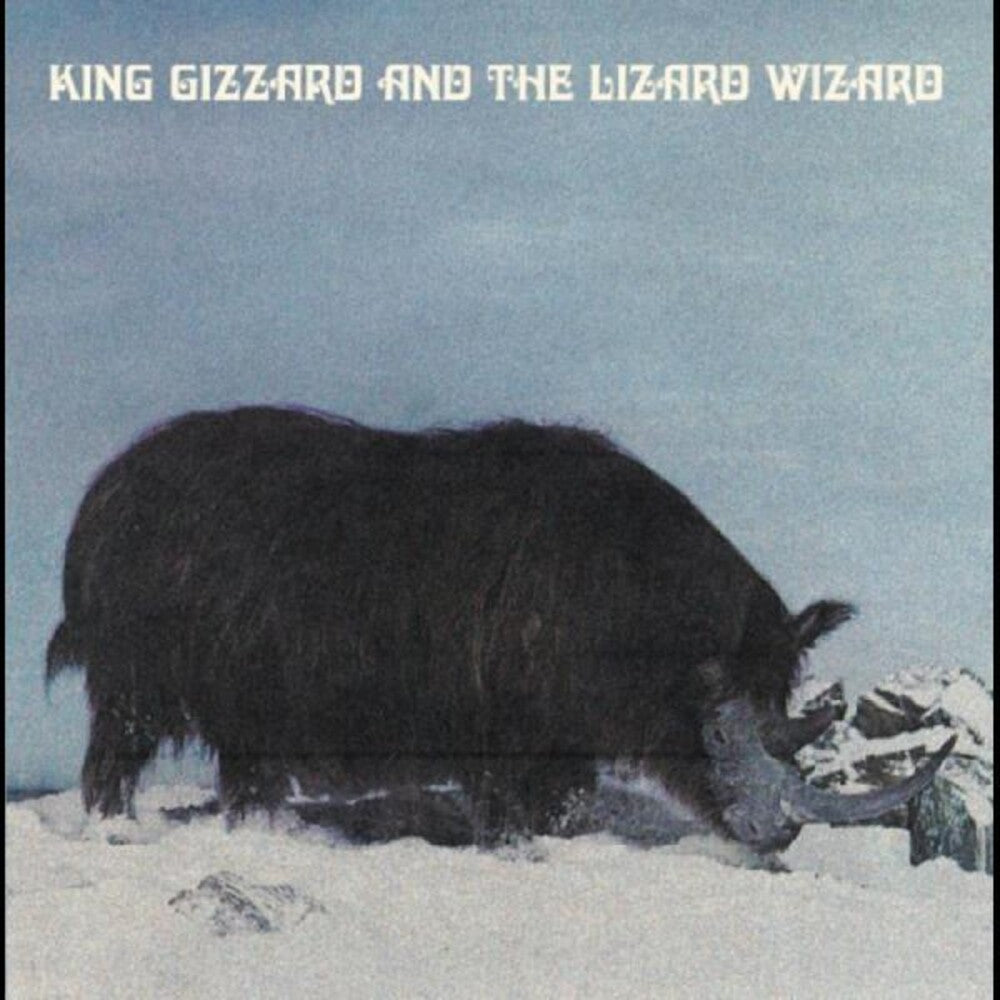 the album cover for King Gizzard & The Lizard Wizard - Polygondwanaland (Fuzz Club Version) [180-Gram Blue Colored LP]
