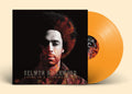 the album cover for Selwyn Birchwood - Living In A Burning House [LP]