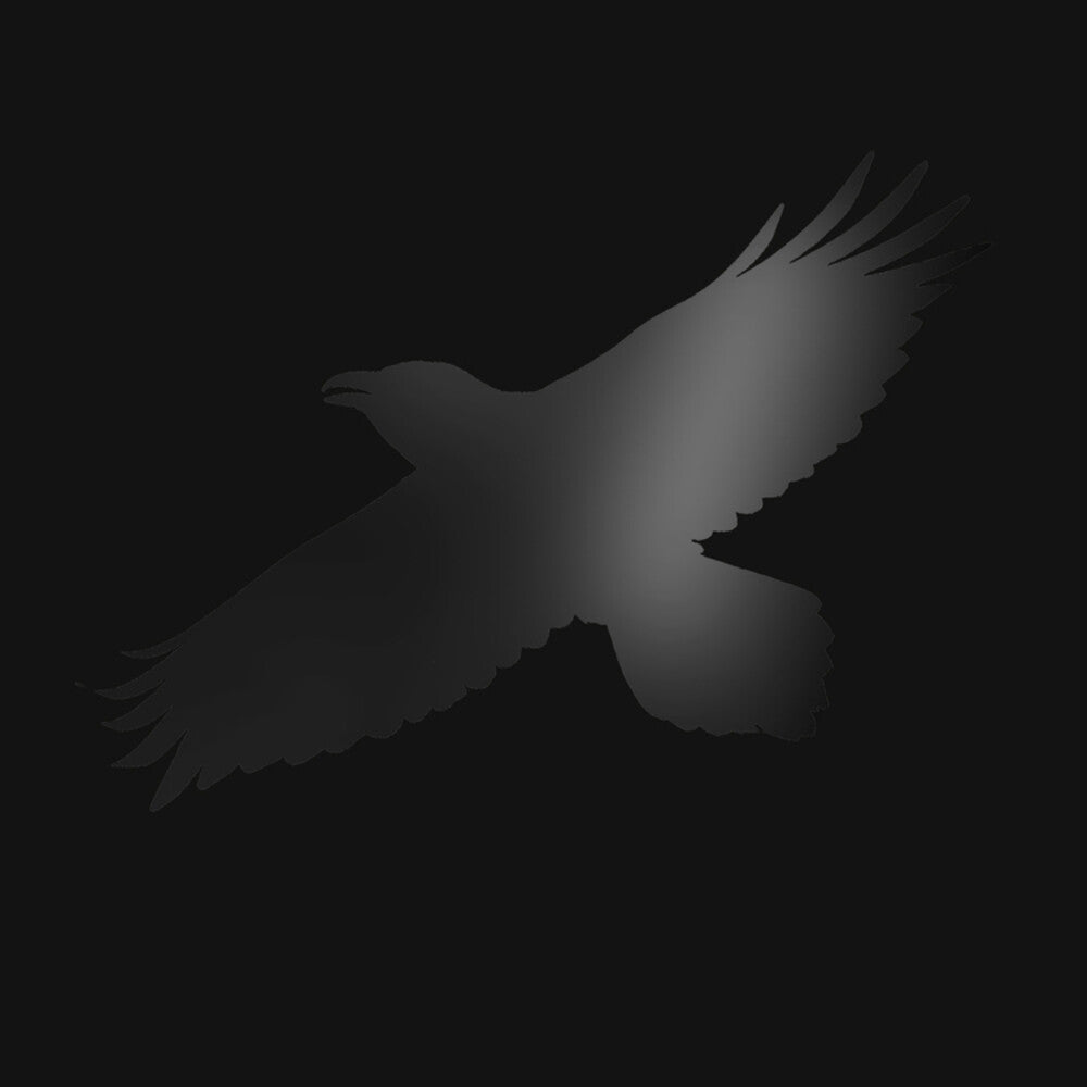 the album cover for Sigur Ros - Odin's Raven Magic [2LP]