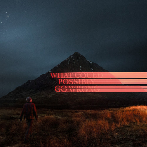 the album cover for Dominic Fike - What Could Possibly Go Wrong