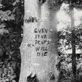 the album cover for Richard Swift - Even Your Drums Will Die: Live at Pendarvis Farm 2011 (IEX)