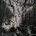 the album cover for Sumac - Love In Shadow [Clear Vinyl] (Pnk) [Download Included]