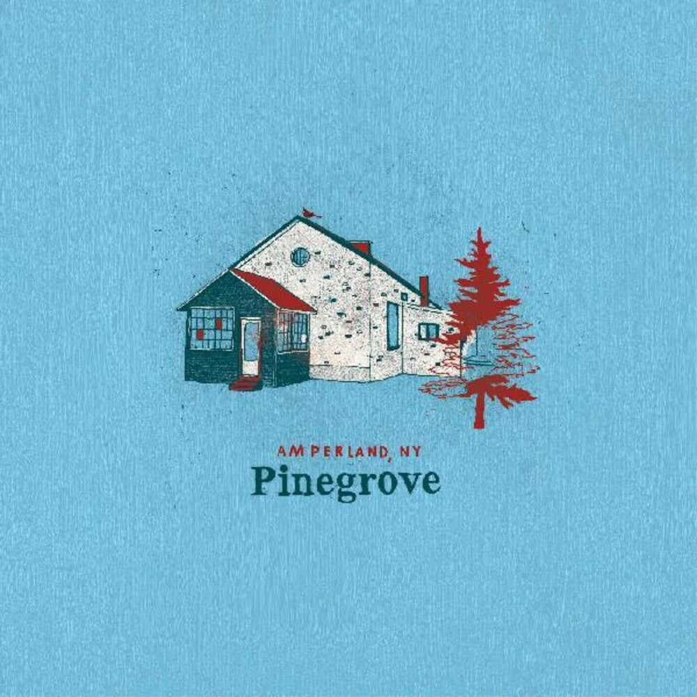 the album cover for Pinegrove - Amperland, NY [2LP]