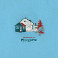 the album cover for Pinegrove - Amperland Ny