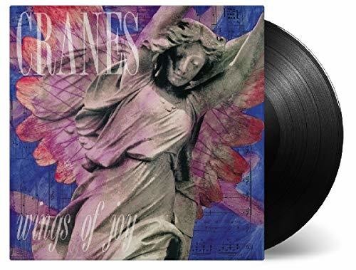 the album cover for Cranes - Wings Of Joy