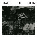 the album cover for Silk Road Assassins - State Of Ruin