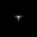 the album cover for Karen O - Lux Prima [LP]