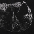 the album cover for Demon Head - Viscera