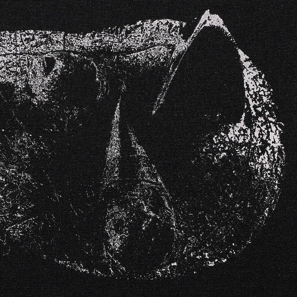 the album cover for Demon Head - Viscera