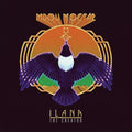 the album cover for Mdou Moctar - Ilana (the Creator)
