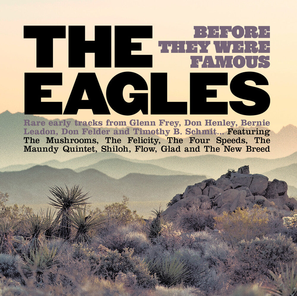 the album cover for Eagles Before They Were Famous / Various - The Eagles Before They Were Famous / Various