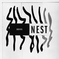 the album cover for Brutus - Nest [LP]