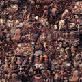 the album cover for British Sea Power - Disco Elysium