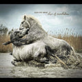the album cover for Over The Rhine - Love & Revelation [Download Included]