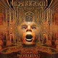 the album cover for Meshuggah - Nothing (Gate)