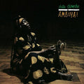 the album cover for Stella Chiweshe - Ambuya