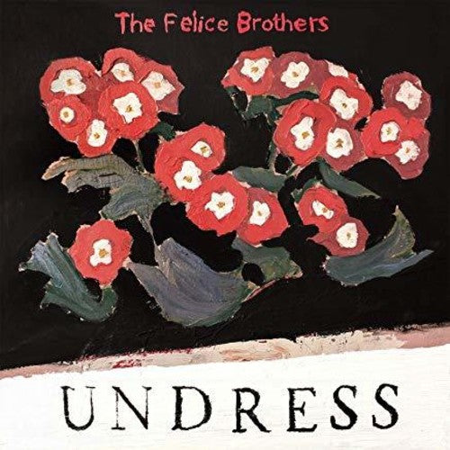 the album cover for The Felice Brothers - Undress
