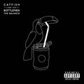 the album cover for Catfish And The Bottlemen - The Balance