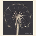 the album cover for Maxine Funke - Home Fi