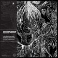 the album cover for Marissa Nadler & Stephen Brodsky - Droneflower