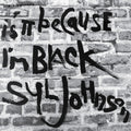 the album cover for Sly Johnson - Is It Because I'm Black (50th Anniversary Edition)