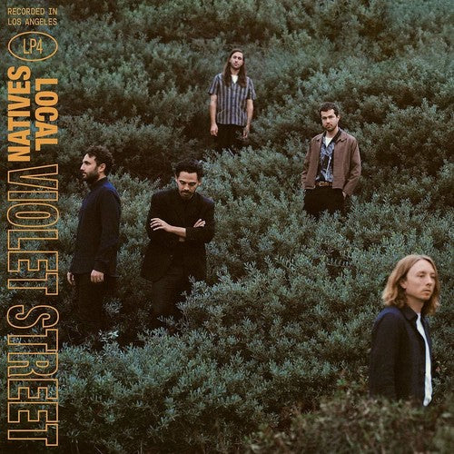 the album cover for Local Natives - Violet Street