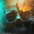the album cover for Halsey - Without Me [Vinyl Single]