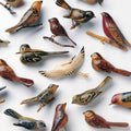 the album cover for Kishi Bashi - Omoiyari [Indie Exclusive Limited Edition White LP]