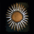 the album cover for Fauna - Avifauna [Digipak]